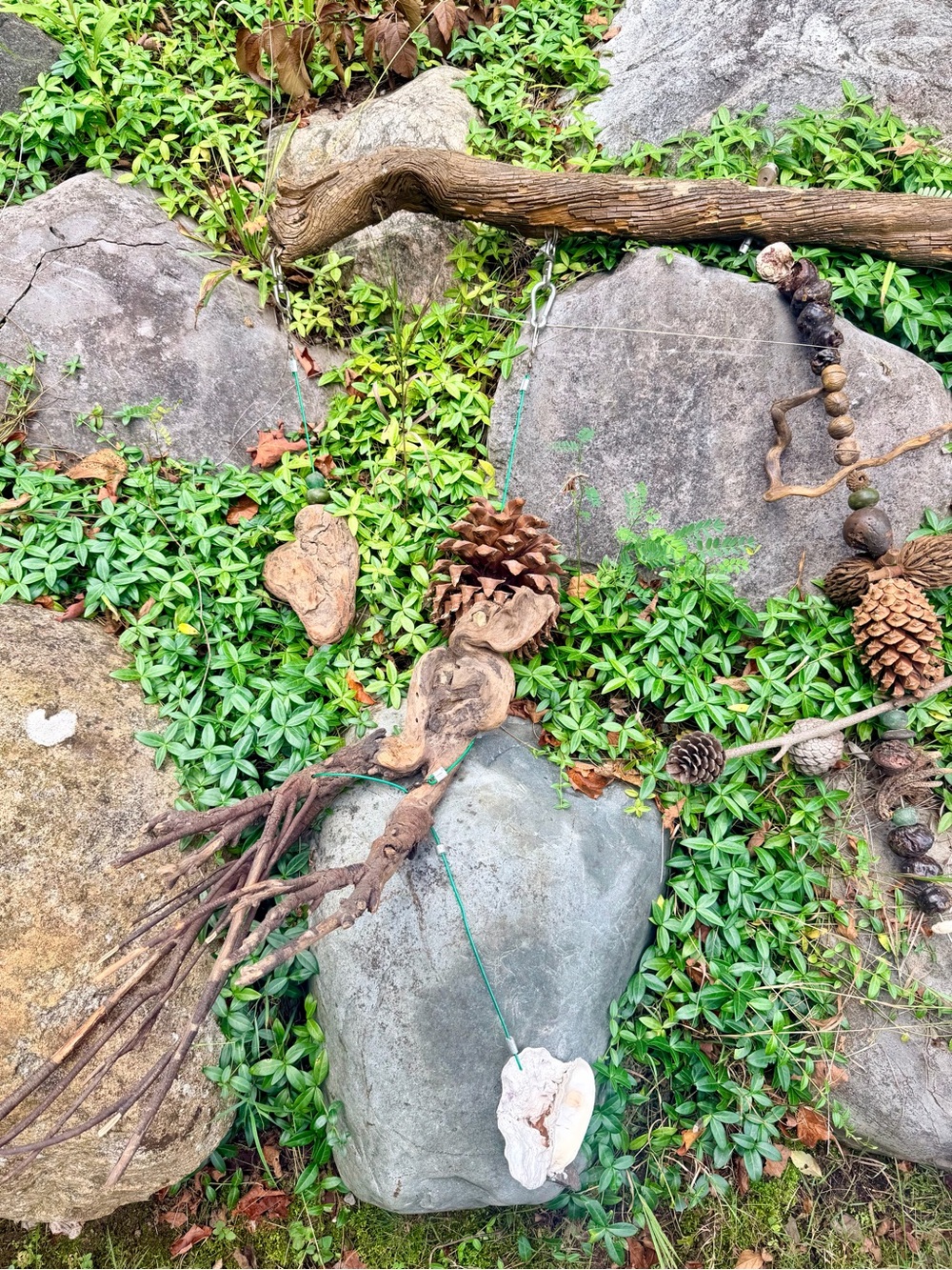 🌲NATURE INSPIRED DECOR - Picture 6 of 13